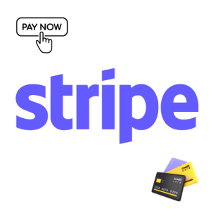 Stripe Payment Supported Visa Card